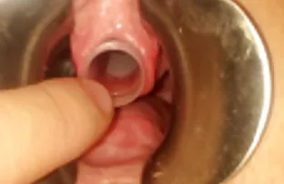 XXX ஜூலியா சேவலுக்கு சென்றார்