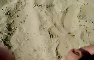 XXX பேக்ரூம் காஸ்டிங் கோச்: மனிதனின் துணிவுமிக்க கோர் நம்பிக்கையுடன் எரின் துளைக்குள் பிழியப்பட்டது