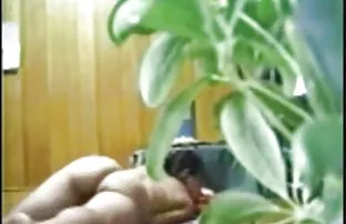 XXX வருகையின் போது ஹெர்மாஃப்ரோடைட் கொண்டு வரப்பட்டது