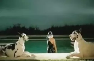 XXX ஒரு குளியல் எடுக்கிறது