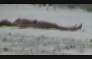 XXX கருப்பு ஹேர்டு முலைக்காம்பு