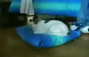 XXX திருமணமான தம்பதியினர் தங்கள் வீட்டு ஆபாசத்தை அகற்ற முடிவு செய்தனர்