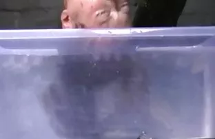 XXX ஒரு மெல்லிய அழகி கொண்ட ரேவ் பொழுதுபோக்கு ஒரு நிகழ்ச்சி