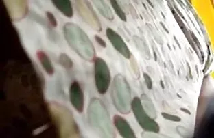 XXX அற்புதமான குழந்தை ஆண் நடிப்பை நடத்துகிறது